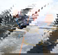 Tiddy Widdy Beach - Accommodation Cairns