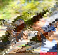 Tjapukai Aboriginal Cultural Park