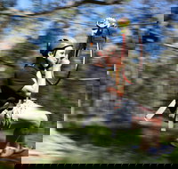 TreeTops Western Sydney - Accommodation Cairns