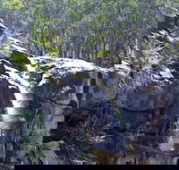 Ugly Corner Falls Walking Track - Accommodation Cairns