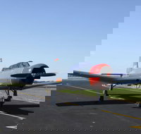 Warrior Warbirds - Open - Accommodation Cairns