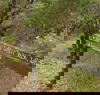Waterfall Gully - Kings Falls Circuit Walk - Accommodation Cairns