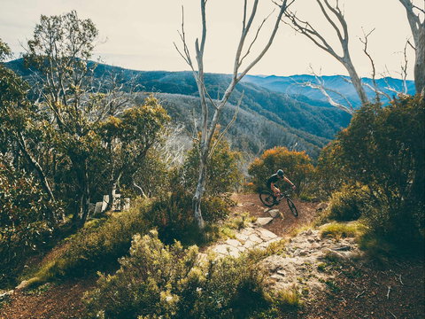 Australian Alpine Epic Mountain Bike Trail - Accommodation Cairns 1