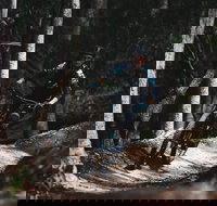 Boomerang Farm Bike Park - Accommodation Cairns