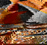 Cattai Homestead and Historic Farm Buildings - Accommodation Cairns