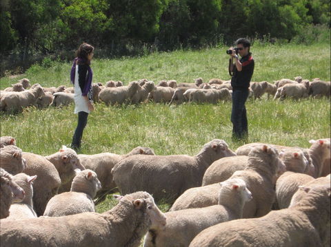 Curringa Farm - Accommodation And Farm Tours - Accommodation Cairns 1
