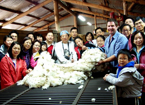 Curringa Farm - Accommodation And Farm Tours - Accommodation Cairns 2