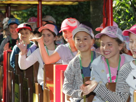 Currumbin Wildlife Sanctuary - Accommodation Cairns 1