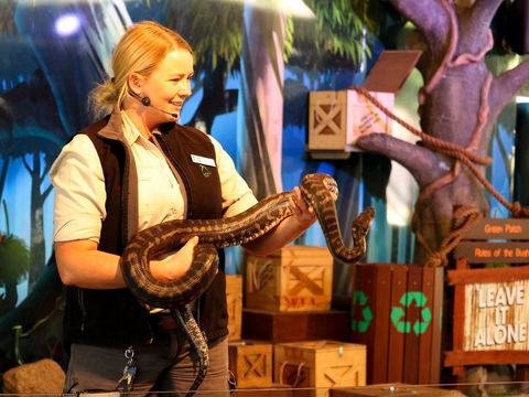 Currumbin Wildlife Sanctuary - Accommodation Cairns 2