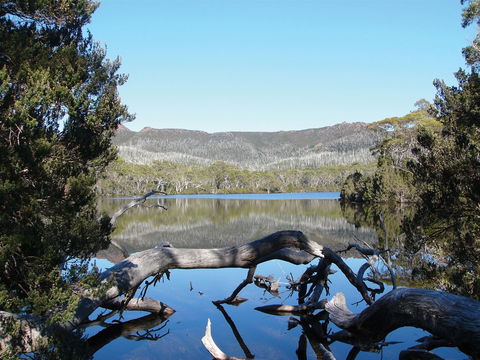 Derwent Bridge - Accommodation Cairns 0