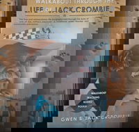 Dingo Dreaming - Accommodation Cairns