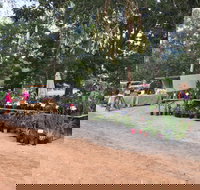 Fred's Pass Rural Market - Accommodation Cairns