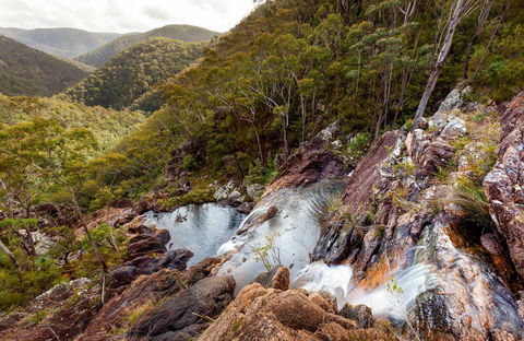 Gibraltar Range National Park - Accommodation Cairns 0