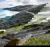 Great Ocean Road - Accommodation Cairns