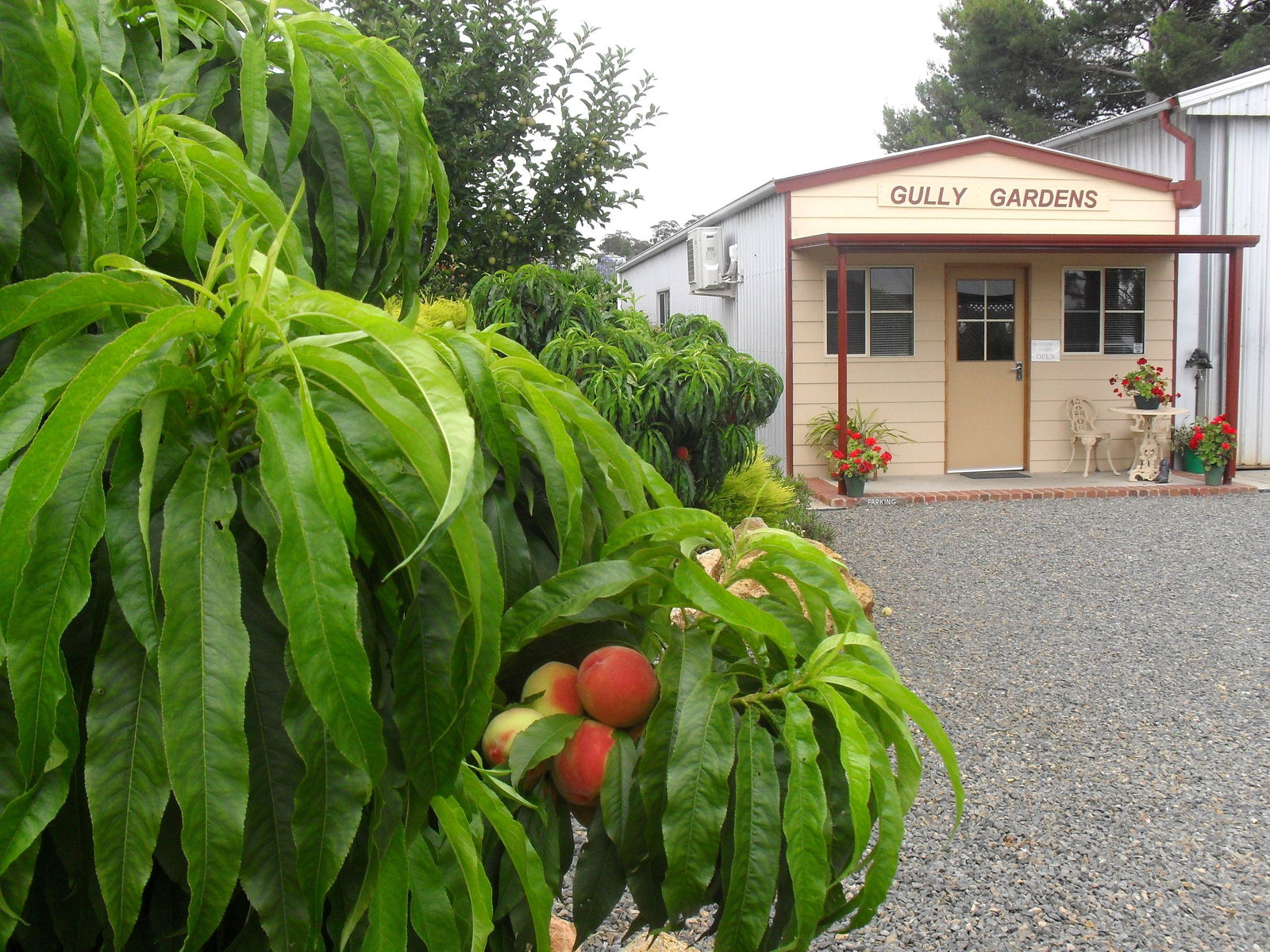 Angaston SA Accommodation Cairns