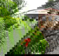Gully Gardens - Accommodation Cairns