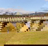 Historic Tabulam DeBurgh Timber Bridge - Accommodation Cairns