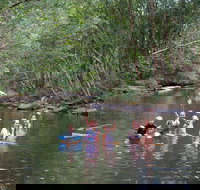 Kerewong State Forest - Accommodation Cairns