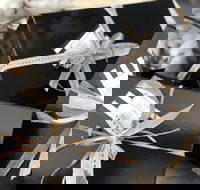 Label A - Accommodation Cairns