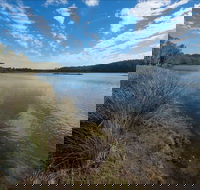 Lake Innes Nature Reserve - Accommodation Cairns