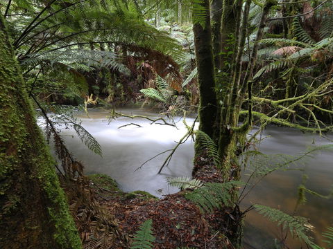 Marriotts Falls And Junee Caves - Accommodation Cairns 0