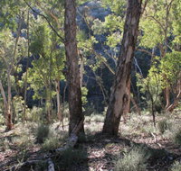 Mount Gray walking track - Accommodation Cairns