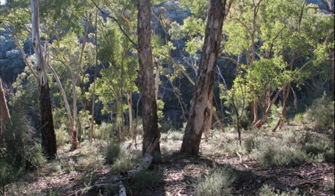 Mount Gray Walking Track - Accommodation Cairns 0