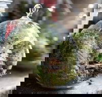 Moxom and Whitney - Accommodation Cairns