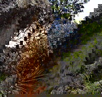 Mystery Face Walking Track - Accommodation Cairns