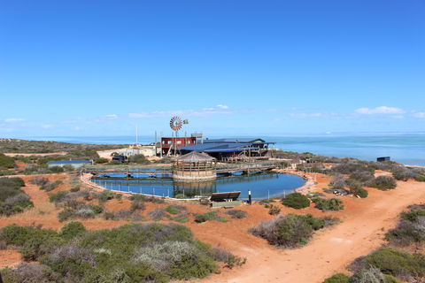 Ocean Park Aquarium - Accommodation Cairns 1