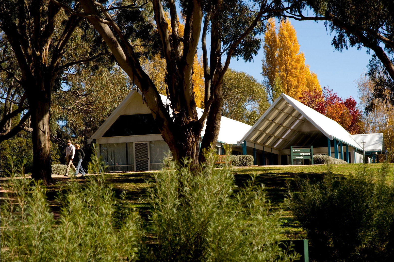 Orange NSW Accommodation Cairns