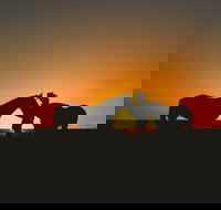 Outback Pony Rides Farm Experience - Accommodation Cairns