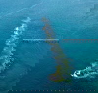 Port Noarlunga Reef Sanctuary Zone - Encounter Marine Park - Accommodation Cairns