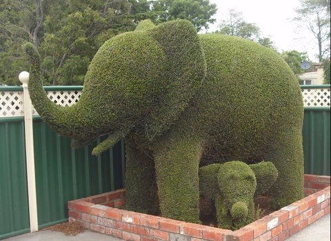 Railton: Town Of Topiary - Accommodation Cairns 0