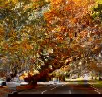 Richmond - Accommodation Cairns