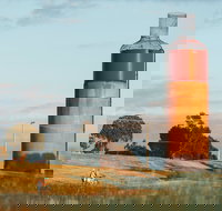 Rutherglen Wine Bottle