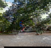 Samford Valley Rail Trail - Accommodation Cairns