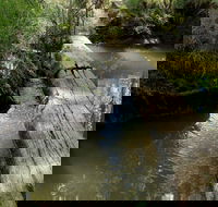 Second Ponds Creek Walk - Accommodation Cairns