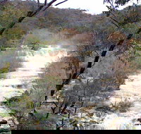 The Falls Water Falls - Accommodation Cairns