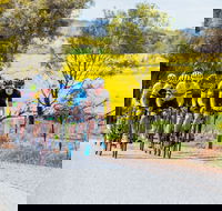 The Heron's Highway - Avon River Cycle Trail - Accommodation Cairns
