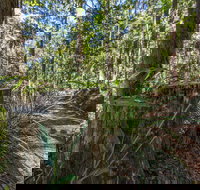 Thylogale Track - Accommodation Cairns