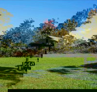 Tunks Hill picnic area - Accommodation Cairns