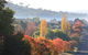 Walcha - thumb 1