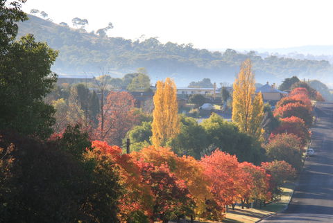 Walcha - Accommodation Cairns 1