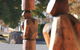 Walcha - thumb 2