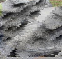 Windara Reef - Accommodation Cairns