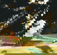 Aberdeen Golf Club - Accommodation Cairns