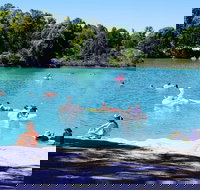 Black Diamond Lake - Accommodation Cairns