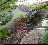 Black Dragon Gardens Wulong Yuan - Accommodation Cairns