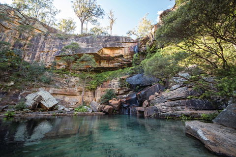 Blackdown Tableland National Park - Accommodation Cairns 1